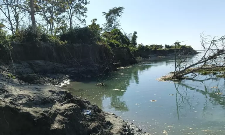 Assam के तिनसुकिया में कैनोपस इको कैंप पर संकट, ग्रामीणों ने सुरक्षा उपायों की अपील की Assam के तिनसुकिया में कैनोपस इको कैंप पर संकट, ग्रामीणों ने सुरक्षा उपायों की अपील की
