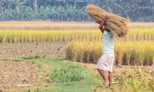 Uttarakhand ग्रामीण विकास के लिए केंद्र ने जारी की 94 करोड़ रुपये की राशि