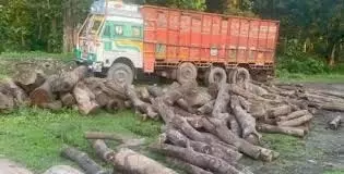 Bihar : लकड़ी तस्करी रोकने गई वन टीम पर हमला Bihar : लकड़ी तस्करी रोकने गई वन टीम पर हमला