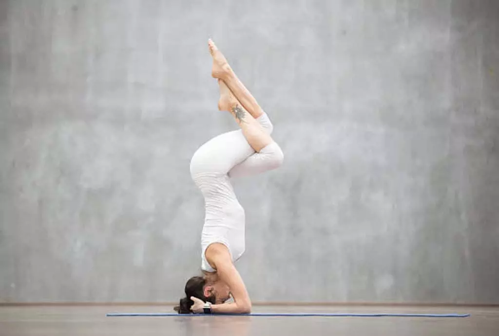 Yoga Tips: किसी भी उम्र के लोगों के लिए ये चार आसन हैं सबसे आसान और फायदेमंद Yoga Tips: किसी भी उम्र के लोगों के लिए ये चार आसन हैं सबसे आसान और फायदेमंद