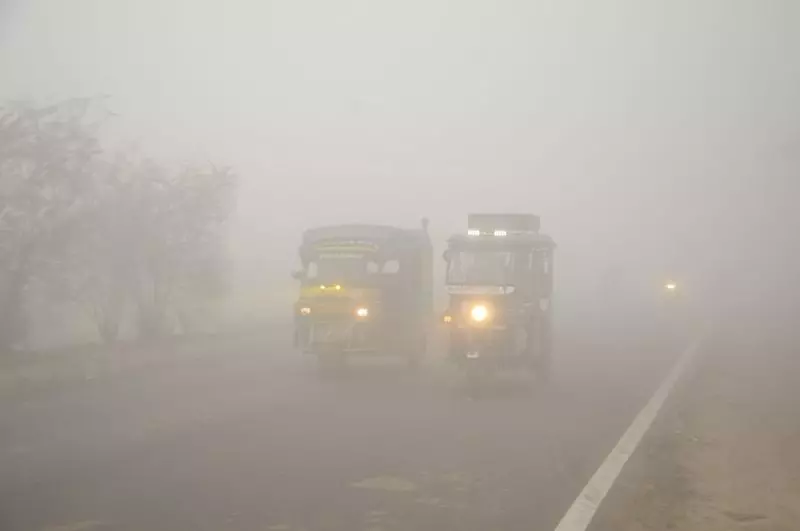 Punjab हरियाणा में कड़ाके की ठंड पड़ रही Punjab हरियाणा में कड़ाके की ठंड पड़ रही