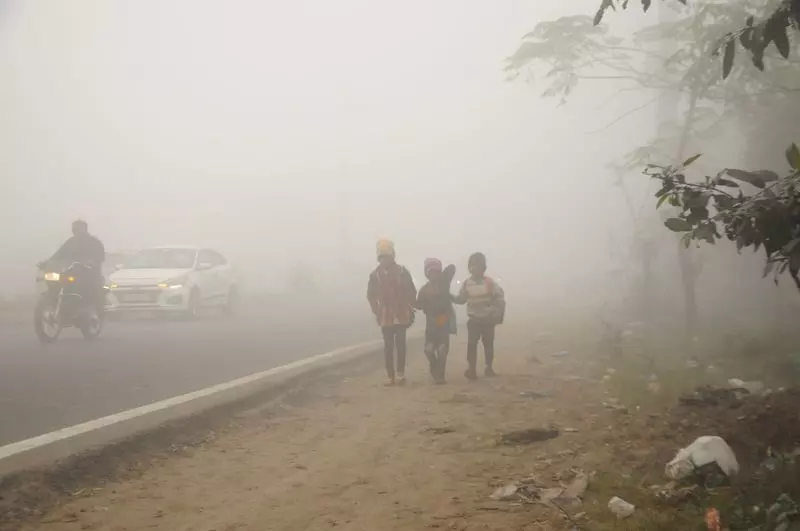 Punjab और हरियाणा में घना कोहरा छाया, होशियारपुर में तापमान 4.8°C रहा। Punjab और हरियाणा में घना कोहरा छाया, होशियारपुर में तापमान 4.8°C रहा।