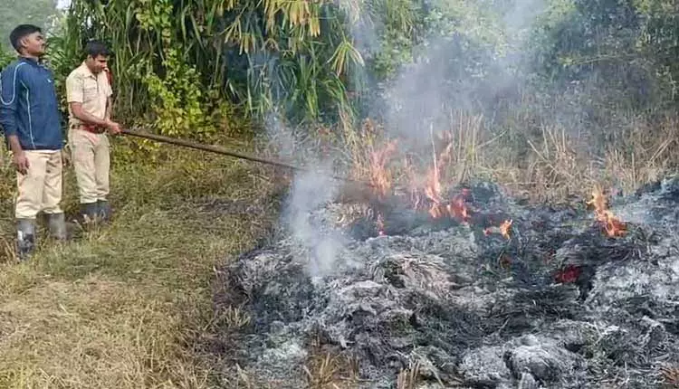 बालासोर में 11KV तार टूटने से लगी आग में पांच एकड़ धान की फसल जलकर राख हो गई बालासोर में 11KV तार टूटने से लगी आग में पांच एकड़ धान की फसल जलकर राख हो गई