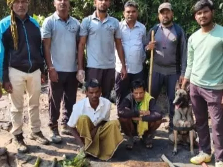 सांभर को मारने वाले 12 शिकारी गिरफ्तार, फरार आरोपियों की तलाश जारी सांभर को मारने वाले 12 शिकारी गिरफ्तार, फरार आरोपियों की तलाश जारी