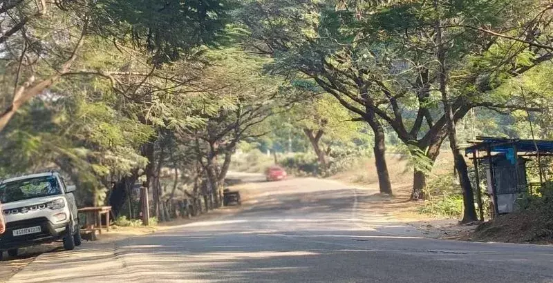 रेलवे फ्लाईओवर प्रोजेक्ट के बीच दीपोर बील में पेड़ काटने की योजना से चिंता बढ़ गई रेलवे फ्लाईओवर प्रोजेक्ट के बीच दीपोर बील में पेड़ काटने की योजना से चिंता बढ़ गई