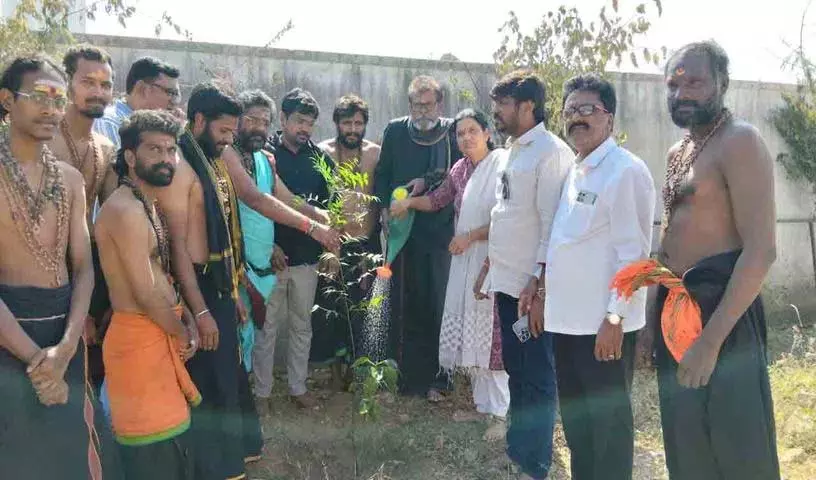 पूर्व पार्षद ने Green India चैलेंज के लिए पौधे लगाए पूर्व पार्षद ने Green India चैलेंज के लिए पौधे लगाए
