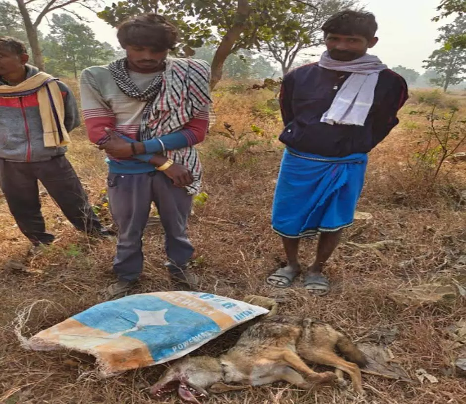 CG: वनमण्डल में अवैध गतिविधियों पर सख्त कार्रवाई CG: वनमण्डल में अवैध गतिविधियों पर सख्त कार्रवाई