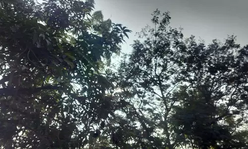 सर्वाधिक ठंड अंबिकापुर में, रायपुर में मध्यम रहा