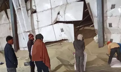 राइस मिल में चिमनी गिरने से मजदूर की मौत राइस मिल में चिमनी गिरने से मजदूर की मौत