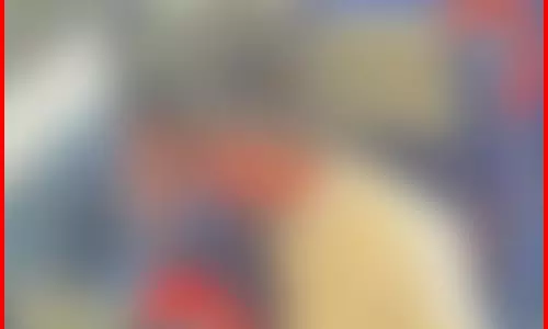 रैपिड रेल में गंदी हरकत, वीडियो की सत्यता की जांच की जा रही रैपिड रेल में गंदी हरकत, वीडियो की सत्यता की जांच की जा रही