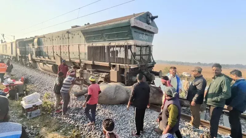 Assam में मानव–हाथी संघर्ष: रेलवे कैसे बन गई वन्यजीवों की सबसे बड़ी दुश्मन? Assam में मानव–हाथी संघर्ष: रेलवे कैसे बन गई वन्यजीवों की सबसे बड़ी दुश्मन?