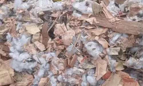 Sonipat: कूड़े के ढेर में मिले कटे-फटे नोट, इलाके में मचा हड़कंप Sonipat: कूड़े के ढेर में मिले कटे-फटे नोट, इलाके में मचा हड़कंप