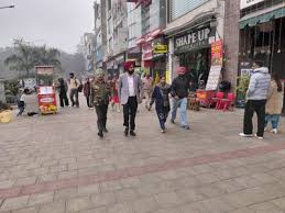 Ludhiana में भीख मांगने वाले 14 बच्चों को बचाया गया: अधिकारी