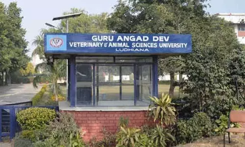 Veterinary University कश्मीर के किसानों को पशुपालन पर ट्रेनिंग दे रही है Veterinary University कश्मीर के किसानों को पशुपालन पर ट्रेनिंग दे रही है