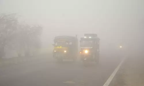 Punjab , हरियाणा में कड़ाके की ठंड पड़ रही