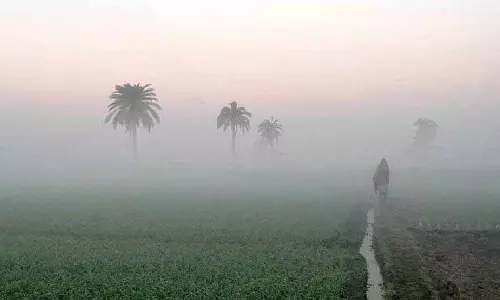 Odisha में शीतलहर का प्रकोप, तापमान 10°C से नीचे गिरा