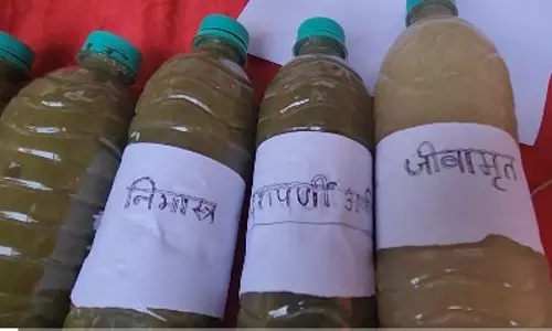 Modi सरकार ने भागलपुर में प्राकृतिक खेती को दी गति Modi सरकार ने भागलपुर में प्राकृतिक खेती को दी गति