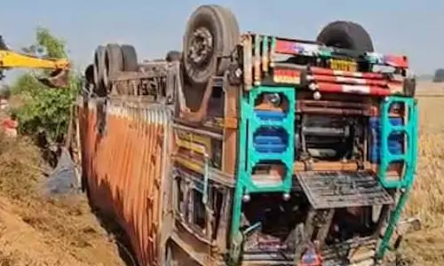 कंटेनर पलटने से 50 गायों की मौत, जगदलपुर में हादसा