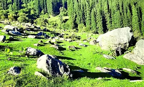 Kullu के भीतरी सेराज क्षेत्र को टूरिस्ट हब में बदलने के लिए कनेक्टिविटी ज़रूरी है