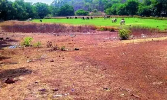 Telangana : 1000 वर्ग गज ज़मीन पर कब्ज़ा करने की कोशिश, मामला दर्ज