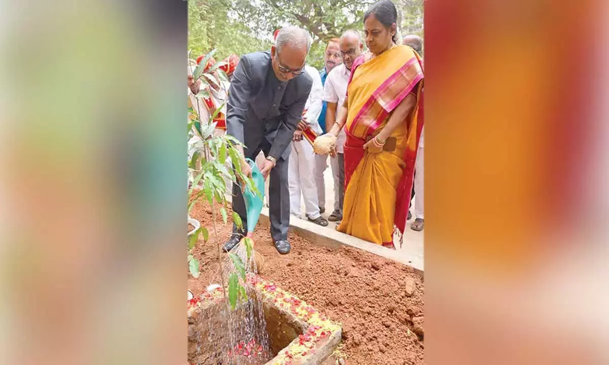 Andhra: हाई कोर्ट के जज ने कोर्ट परिसर में पौधे लगाए