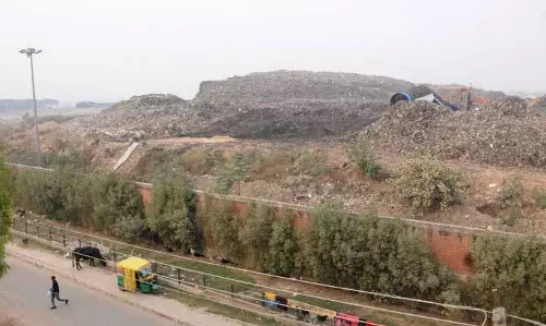 दादुमाजरा डंप को साफ करने के लिए MC को अतिरिक्त प्रयास करना होगा: Tiwari दादुमाजरा डंप को साफ करने के लिए MC को अतिरिक्त प्रयास करना होगा: Tiwari