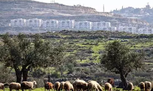 Israel ने वेस्ट बैंक में 19 नई बस्तियाँ बनाने को मंज़ूरी दी Israel ने वेस्ट बैंक में 19 नई बस्तियाँ बनाने को मंज़ूरी दी