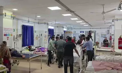 पिकनिक स्पॉट पर गैस सिलेंडर विस्फोट, गुब्बारे बेचने वाला घायल