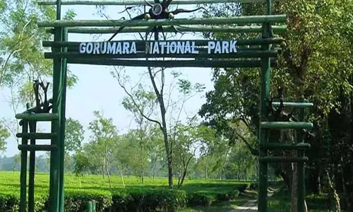 Gorumara 25 दिसंबर से 1 जनवरी तक पर्यटकों के लिए खुला रहेगा