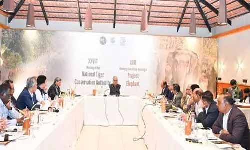 केंद्रीय पर्यावरण मंत्री की अध्यक्षता में NTCA और प्रोजेक्ट एलीफेंट की बैठक