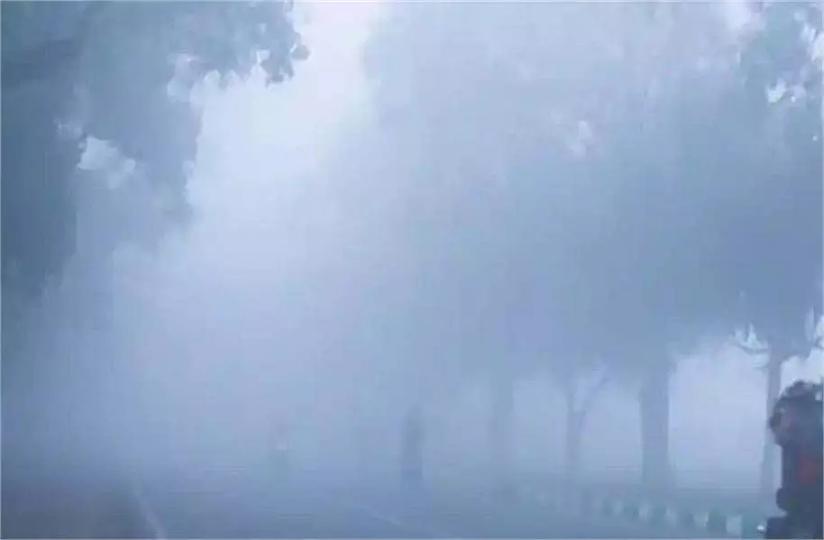Bihar : कोल्ड डे का कहर, कोहरे से यातायात प्रभावित Bihar : कोल्ड डे का कहर, कोहरे से यातायात प्रभावित