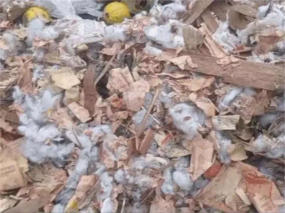 Sonipat: कूड़े के ढेर में मिले कटे-फटे नोट, इलाके में मचा हड़कंप Sonipat: कूड़े के ढेर में मिले कटे-फटे नोट, इलाके में मचा हड़कंप