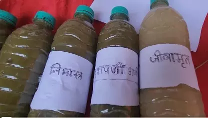 Modi सरकार ने भागलपुर में प्राकृतिक खेती को दी गति Modi सरकार ने भागलपुर में प्राकृतिक खेती को दी गति