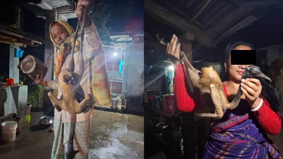 Assam में गंभीर रूप से लुप्तप्राय बंगाल फ्लोरिकन का शिकार किया गया Assam में गंभीर रूप से लुप्तप्राय बंगाल फ्लोरिकन का शिकार किया गया
