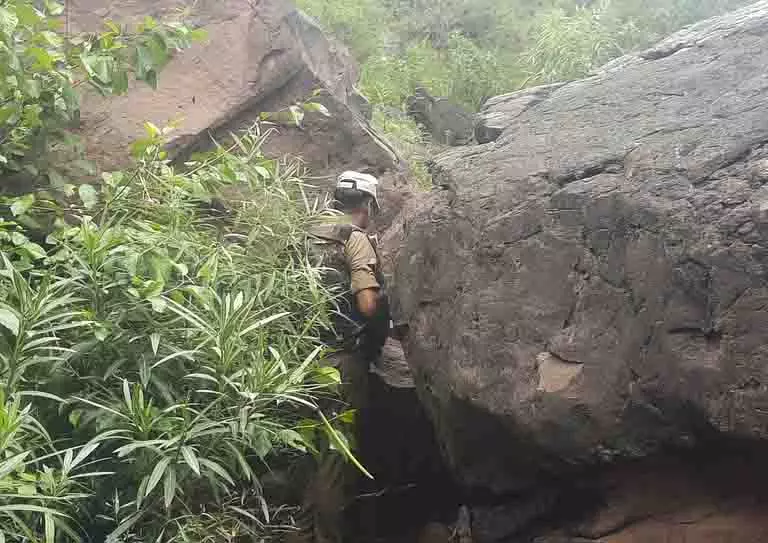Udhampur: आतंकियों के घर से खाना ले जाने के बाद तलाशी अभियान Udhampur: आतंकियों के घर से खाना ले जाने के बाद तलाशी अभियान