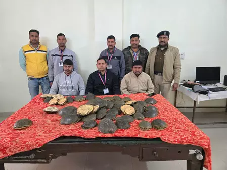 रेलवे स्टेशन पर खड़ी एक्सप्रेस से 48 कछुआ बरामद रेलवे स्टेशन पर खड़ी एक्सप्रेस से 48 कछुआ बरामद