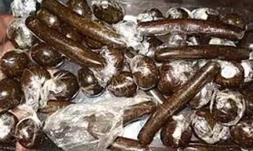 Kullu:    34 वर्षीय व्य​क्ति से 1.950 किलोग्राम चरस बरामद