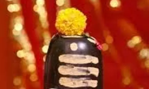 Vastu Tips For Shivling: नए साल में इस दिशा में करें शिवलिंग की स्थापना, जानें नियम Vastu Tips For Shivling: नए साल में इस दिशा में करें शिवलिंग की स्थापना, जानें नियम