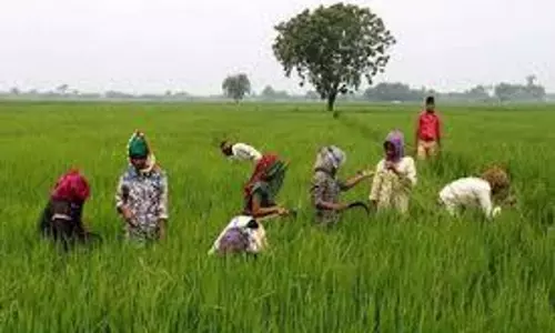 Lucknow: किसानों को दक्ष बनाने के लिए 10 दिन में 6.98 लाख प्रशिक्षित Lucknow: किसानों को दक्ष बनाने के लिए 10 दिन में 6.98 लाख प्रशिक्षित