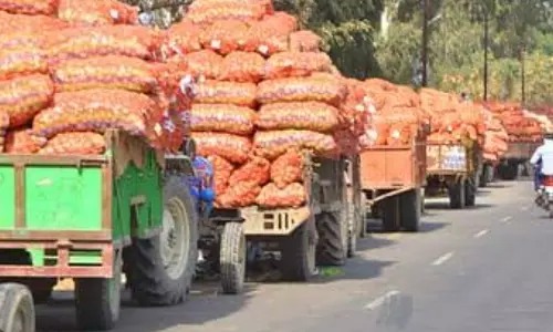Farrukhabad: आलू की कम कीमत से किसानों की चिंता बढ़ी
