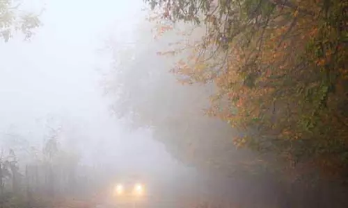 Odisha में क्रिसमस से तेज़ ठंड की लहर का खतरा, सूखी हवाएं चलेंगी Odisha में क्रिसमस से तेज़ ठंड की लहर का खतरा, सूखी हवाएं चलेंगी