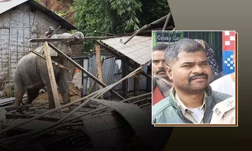 Kupari में हाथी ने मचाया उत्पात, लापरवाही के लिए वन अधिकारी का ट्रांसफर Kupari में हाथी ने मचाया उत्पात, लापरवाही के लिए वन अधिकारी का ट्रांसफर