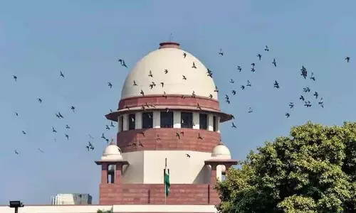 Supreme Court ने उत्तराखंड में वन भूमि पर अतिक्रमण का स्वतः संज्ञान लिया Supreme Court ने उत्तराखंड में वन भूमि पर अतिक्रमण का स्वतः संज्ञान लिया