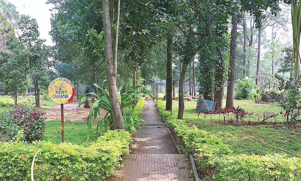 Tirupati पहाड़ियों में औषधीय उद्यान की स्थापना होगी Tirupati पहाड़ियों में औषधीय उद्यान की स्थापना होगी