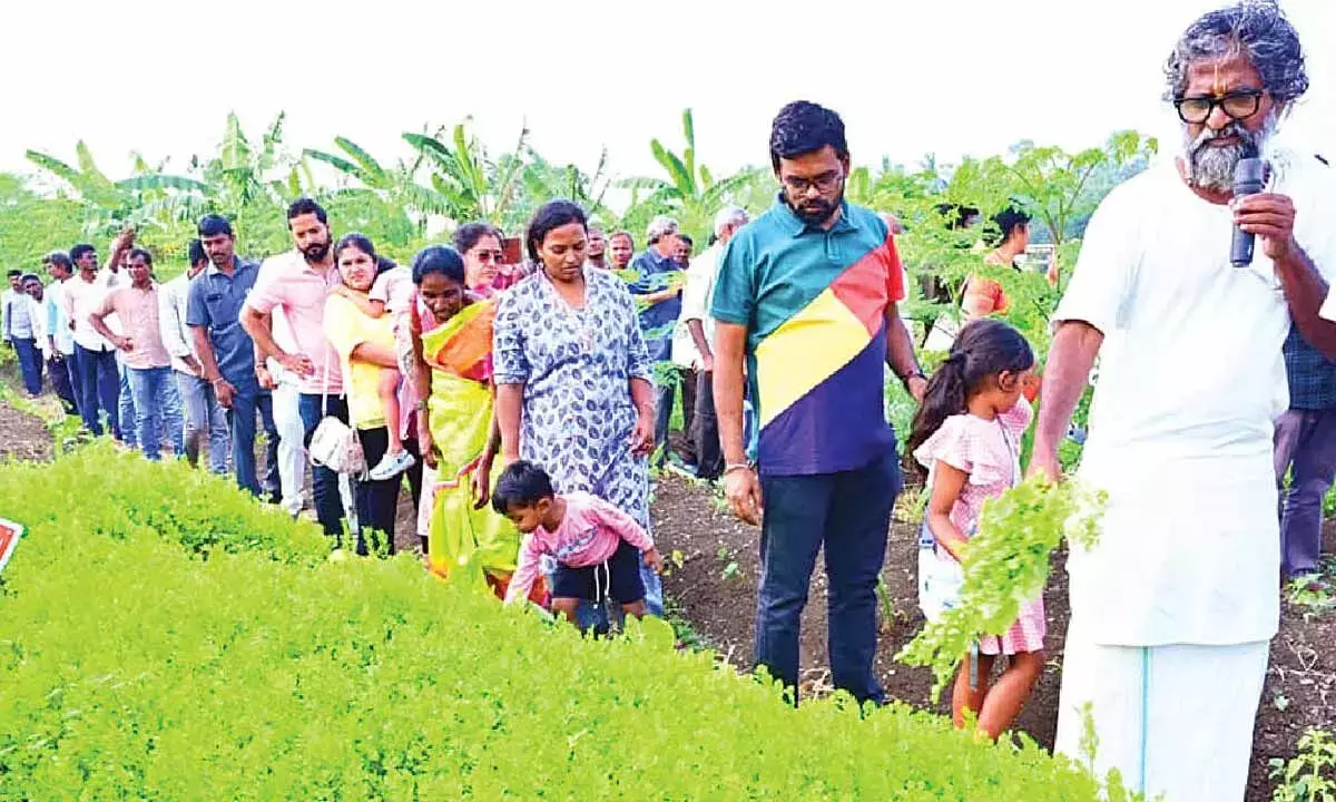 Andhra: किसानों से प्राकृतिक खेती अपनाने का आग्रह किया गया