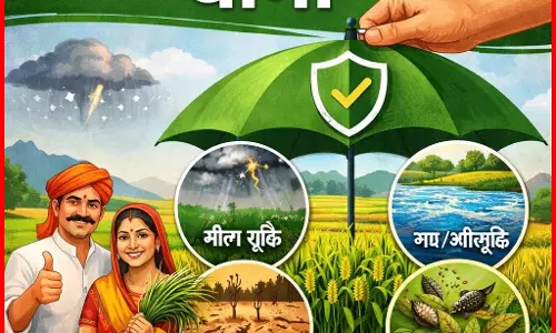 31 दिसंबर तक करा सकेंगे उद्यानिकी फसलों का बीमा 31 दिसंबर तक करा सकेंगे उद्यानिकी फसलों का बीमा