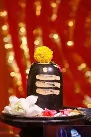 Vastu Tips For Shivling: नए साल में इस दिशा में करें शिवलिंग की स्थापना, जानें नियम Vastu Tips For Shivling: नए साल में इस दिशा में करें शिवलिंग की स्थापना, जानें नियम