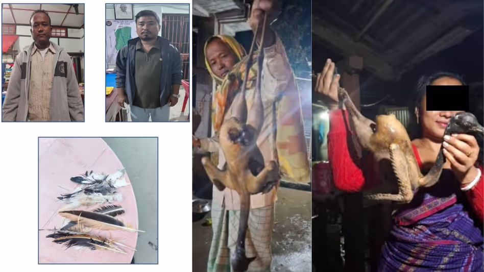 Assam : लुप्तप्राय बंगाल फ्लोरिकन के शिकार के लिए 400 रुपये असम के चिरांग में दो लोग हिरासत में लिए गए Assam : लुप्तप्राय बंगाल फ्लोरिकन के शिकार के लिए 400 रुपये असम के चिरांग में दो लोग हिरासत में लिए गए