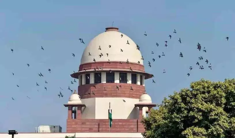 Supreme Court ने उत्तराखंड में वन भूमि पर अतिक्रमण का स्वतः संज्ञान लिया Supreme Court ने उत्तराखंड में वन भूमि पर अतिक्रमण का स्वतः संज्ञान लिया
