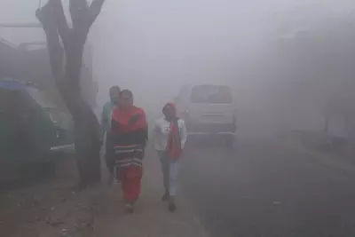 Telangana के कुछ हिस्सों में शीतलहर की स्थिति बनी हुई Telangana के कुछ हिस्सों में शीतलहर की स्थिति बनी हुई